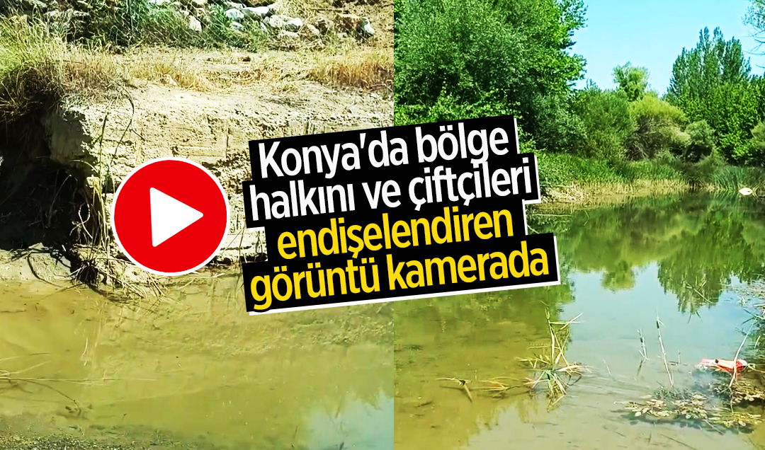 Konya’da bölge halkını ve çiftçileri endişelendiren görüntü kamerada!
