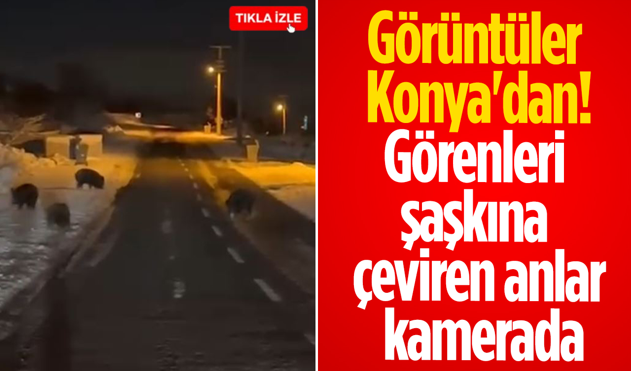 Görüntüler Konya’dan! Görenleri şaşkına çeviren anlar kamerada